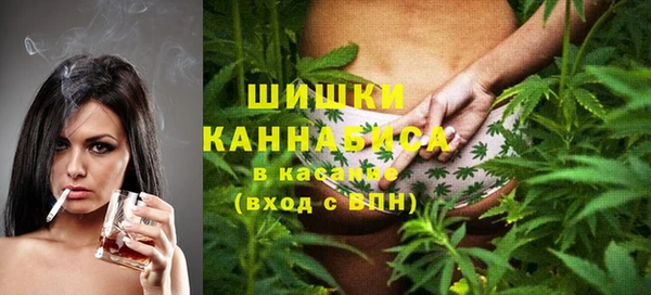 шишки Дедовск