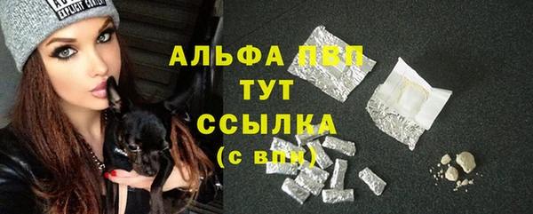 прущие крисы Дегтярск