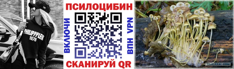 Псилоцибиновые грибы Psilocybe  Первомайск 